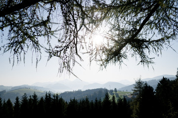 Obraz na płótnie Canvas Ausblick über Berge und Wälder
