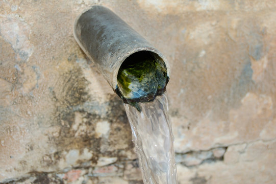 Pilón Bilder Durchsuchen 5,822 Archivfotos, und Videos