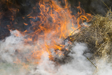 Fire - burning dry grass