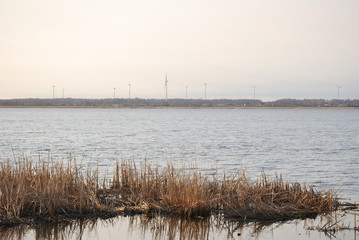 Rogowo, Jezioro Resko Przymorskie.