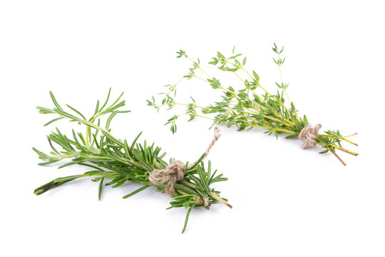 rosemary Herbs and Thyme fresh herb isolated on white background