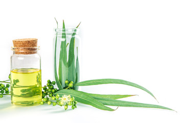 Eucalyptus essential oils in glass bottle ,oganic herbal aromatherapy concept - obrazy, fototapety, plakaty