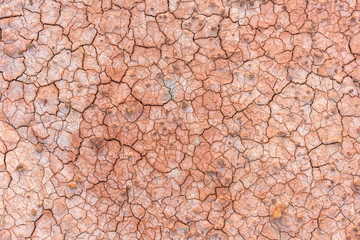 Crack soil texture background