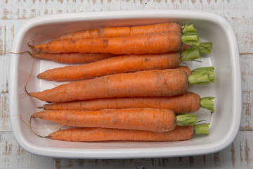 Karotten ungewaschen