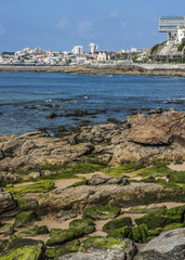 Portugal , Cascais. Atlantic coastal strip, embankment, ebb. Stones covered with moss , early...