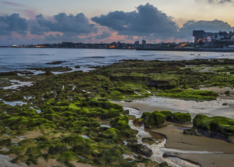 Portugal , Cascais. Atlantic coastal strip, embankment, ebb. Stones covered with moss , early...