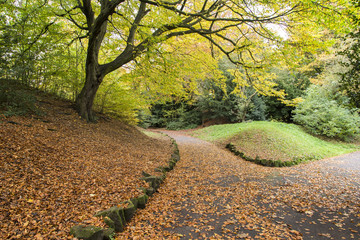 Autumnal Walkway