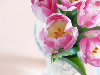 Flower background, blur. Greeting card. Bouquet of pink tulips in a vase. Selective focus on the front.Top view. Copy space for your text.