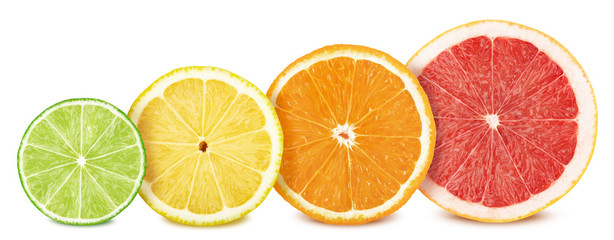 Fruit slices set: lemon, lime, orange and grapefruit