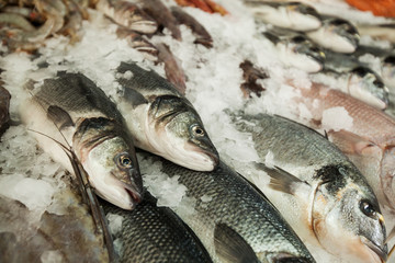 Fresh Sea fish