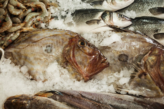 Fresh Sea fish John Dory, St Pierre