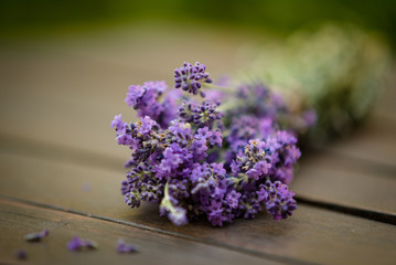 Bouquet of Lavender