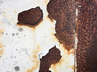 Corroded white metal background. Rusted white painted metal wall. Rusty metal background with streaks of rust. Rust stains. rust on old wall background