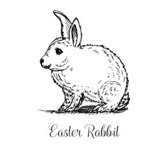 Fototapeta premium Hand drawn easter rabbit.