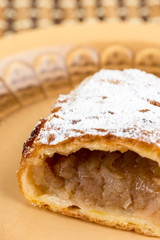 Apple pie sliced on the plate with powdered sugar