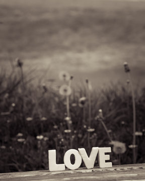 word love (35)