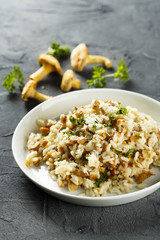Mushroom risotto with herbs