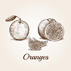Hand drawn Oranges © morningglory1285