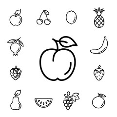 peach fruit with leaf line icons set black on white