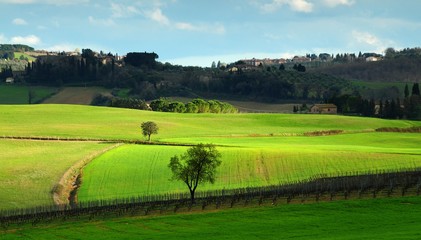 Fototapeta na wymiar Beautiful Tuscan landscape near Castellina in Chianti, Siena. Italy.