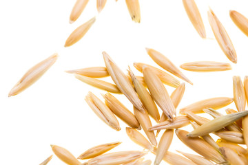 Corn oats on a white background