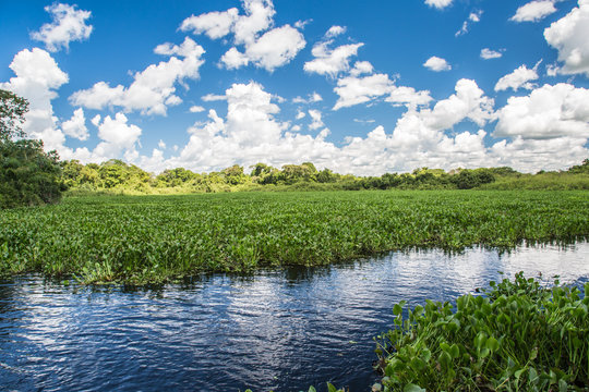 Wasserlandschaft im Pantanal in Brasilien