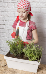 Zioła sadzone na wiosnę przez dziewczynkę - obrazy, fototapety, plakaty