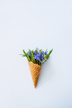 Close up Bouquet of white and blue primrose in the waffle cone on the white background. Top view. Free space for text. Soft selective focus