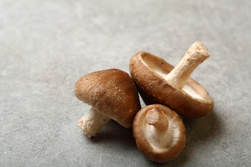 Mushrooms on gray concrete