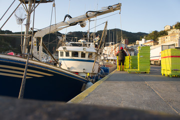descargando pescado en el muelle