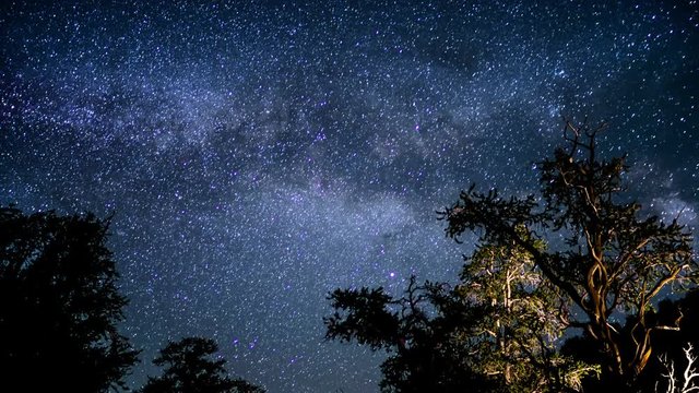 Bristlecone Pine Milky Way Galaxy 02 Time Lapse Stars