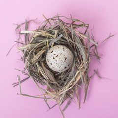 Naklejka na ściany i meble Quail eggs in a nest on a pink background. Easter