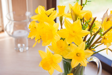 Gelbe Narzisse Osterglocke Blumen am Fenster Frühling Ostern