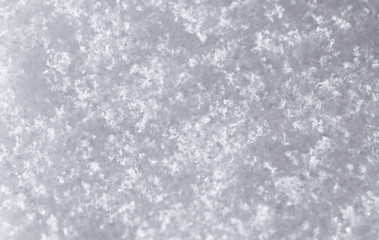 snow as a backdrop. macro