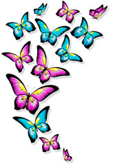 Obraz na płótnie Canvas beautifulc olor butterflies, isolated on a white