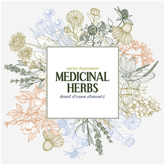 Square text field with hand-drawn colored medicinal herbs and flowers - obrazy, fototapety, plakaty