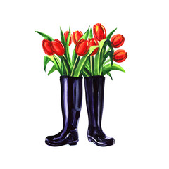 Fresh red spring tulips flowers in boots isolated, watercolor illustration on white