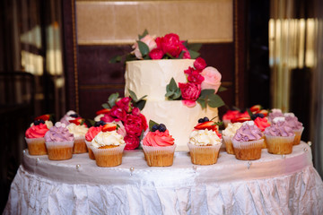 Candy bar, marshmallow on the table in a vase, a plate with candies in pink colour, macaroon, cake and cupcake on holiday, birthday or wedding decoration, decor vanilla, handmade. Concept of