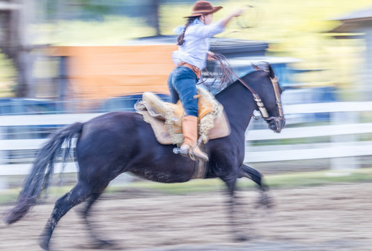 Amazona e seu cavalo.
