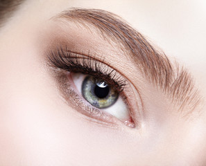 Obraz premium Female eye zone and brows with day makeup