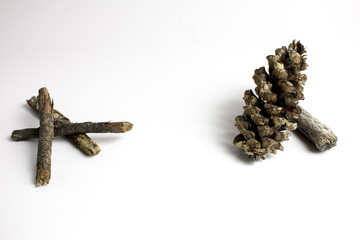 Pinecone Stick