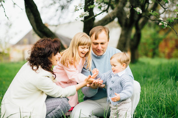 Fototapeta premium Happy family with two children having fun in the apple-garden and playing with flowers of apple blossom in their hands on a spring day.