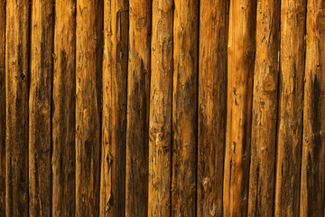 Wooden wall from logs. Fence