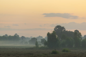 Thailand local field with sunset