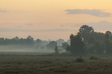 Thailand local field with sunset