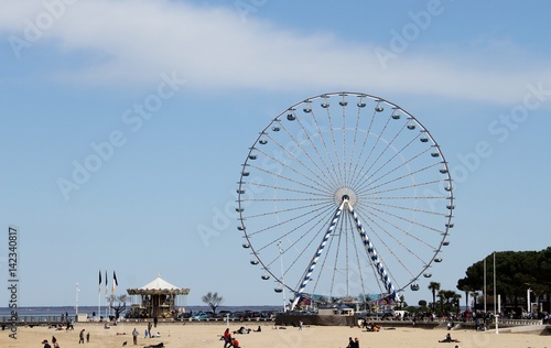 500_F_142340817_SuCRx8hi6xTPgN3WWxZ70ix94zkm40nM.jpg