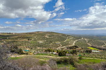 View of the neighborhood of Ubeda, Spain