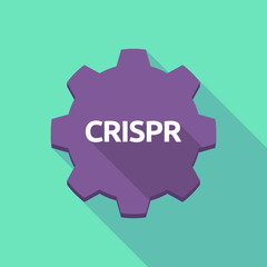 Long shadow gear with  the clustered regularly interspaced short palindromic repeats acromym CRISPR