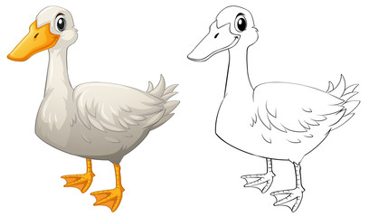 Animal doodle outline for duck