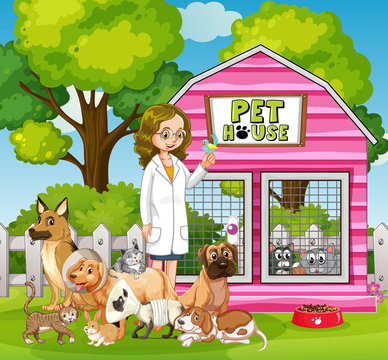 Female vet and many pets